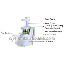 2013 Multifunction slow juicer AJE318